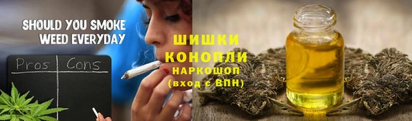 соль ск Абаза